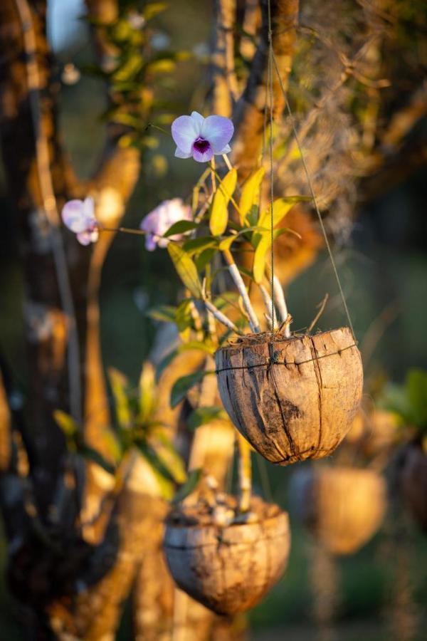 Resort Maison De Nongkhiaw ภายนอก รูปภาพ